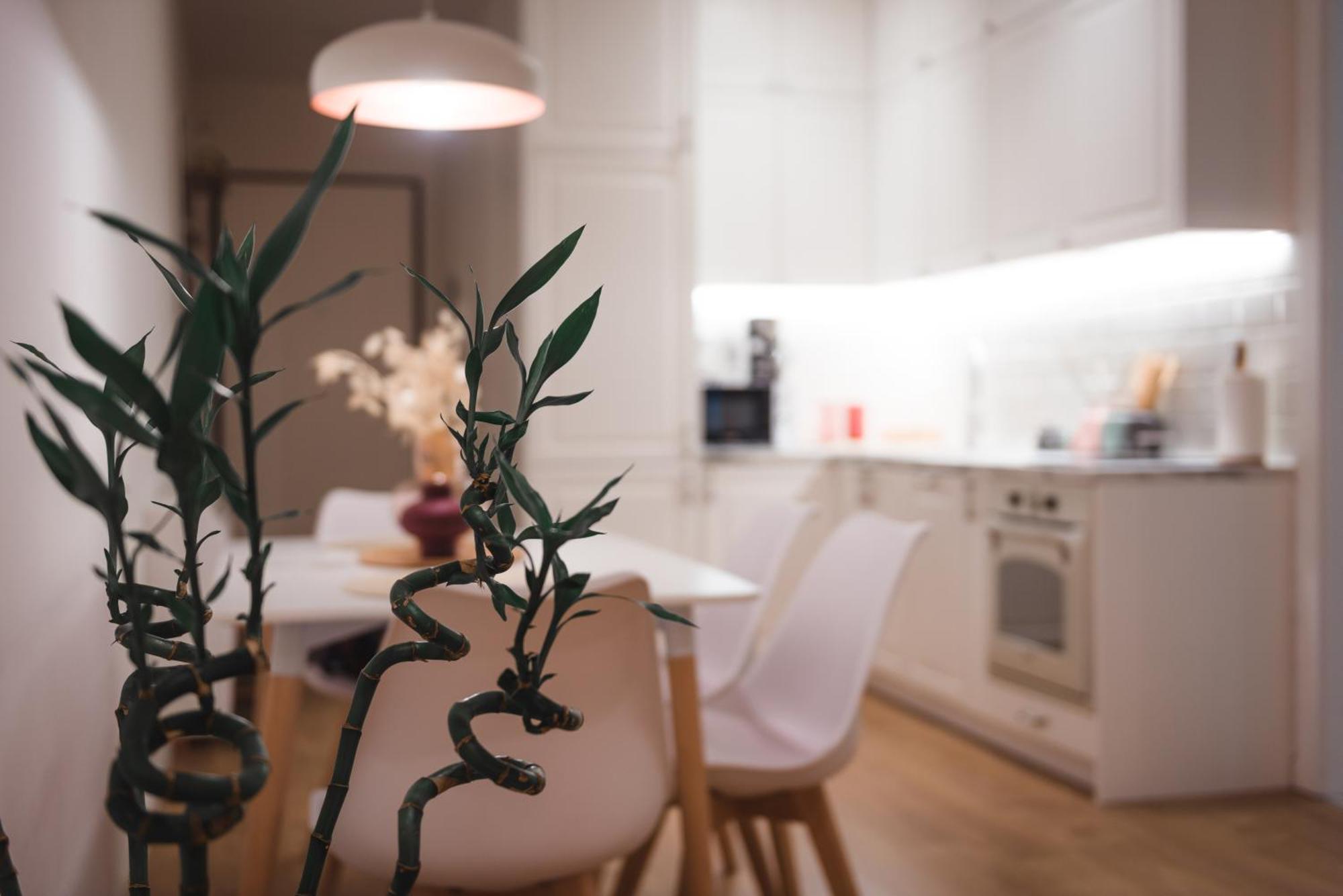 Tam Centre Luxury Serviced Apartments Tirana Esterno foto